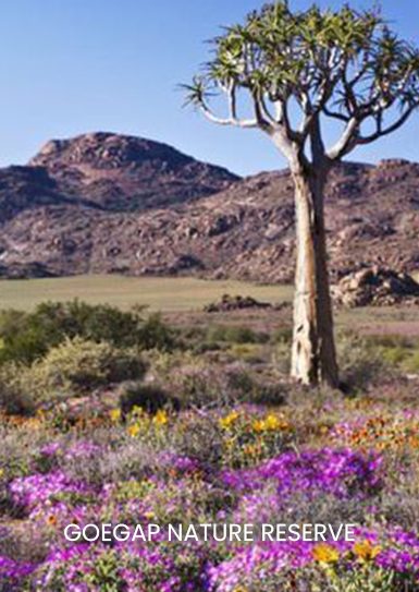 GOEGAP-NATURE-RESERVE