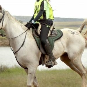 SUDRAH RIDING SCHOOL