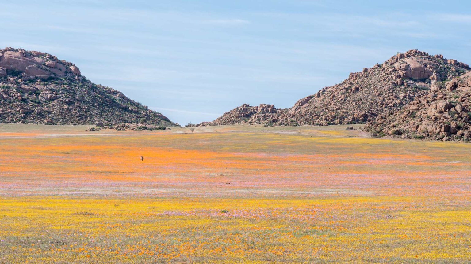 2. Goegap Nature Reserve
