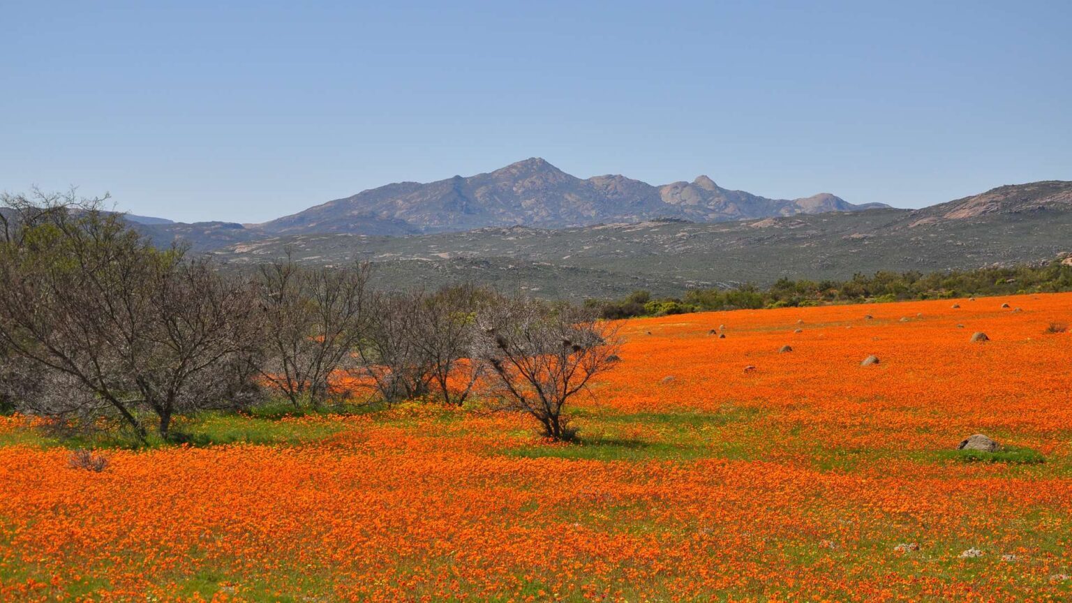 5. Oorlogskloof Nature Reserve