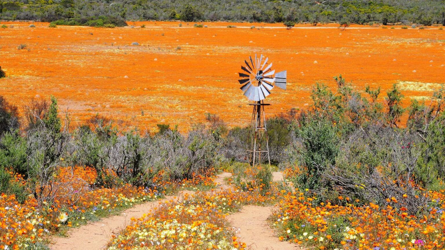 1. Namaqua National Park